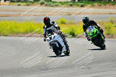 media/May-10-2024-2WTD (Fri) [[c88d7990af]]/Group C/Session 3-Turn 4 and 6/